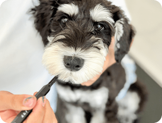 単品・オプションメニュー